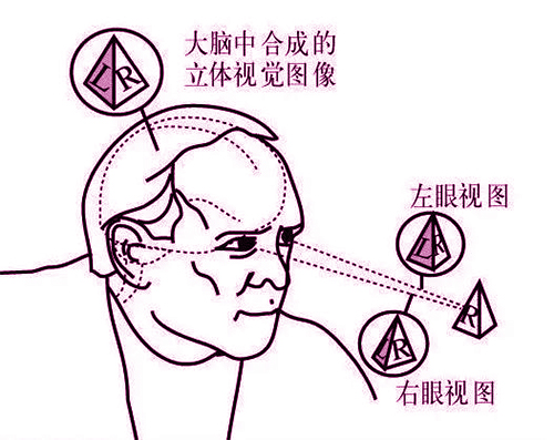 腾博汇游戏官网·(中国)专业效劳,诚信为本